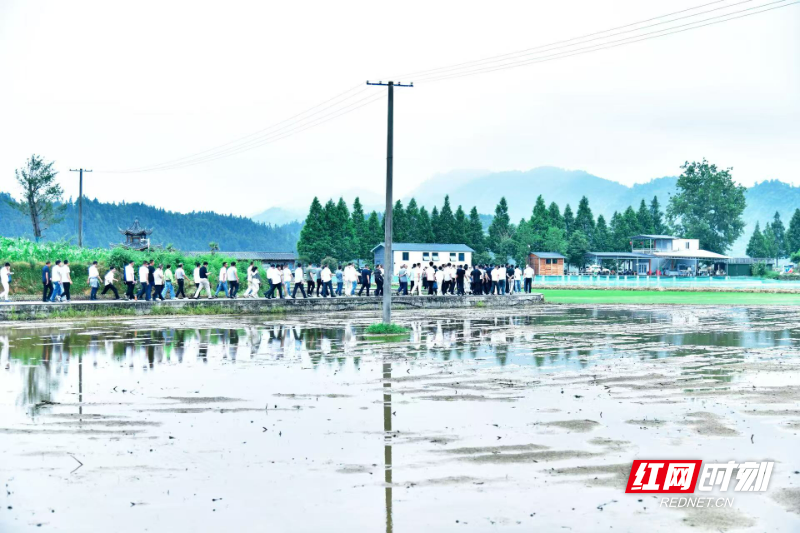 视频丨湖南省举办和美乡村建设培训班 240名村支书在怀化“取经” - 图3