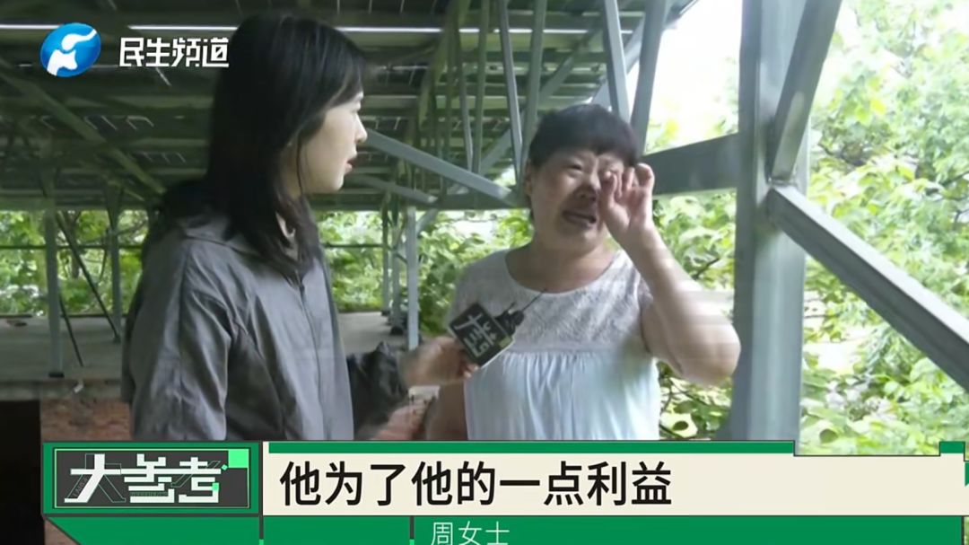 “感觉妈妈彻底走了！”女子20年老宅被亲戚擅装光伏板，母亲种的树全被砍 - 图18