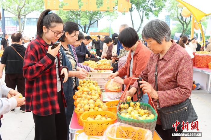 （乡村行·看振兴）一条“有礼枇杷街”，何以折射正确政绩观？ - 图1
