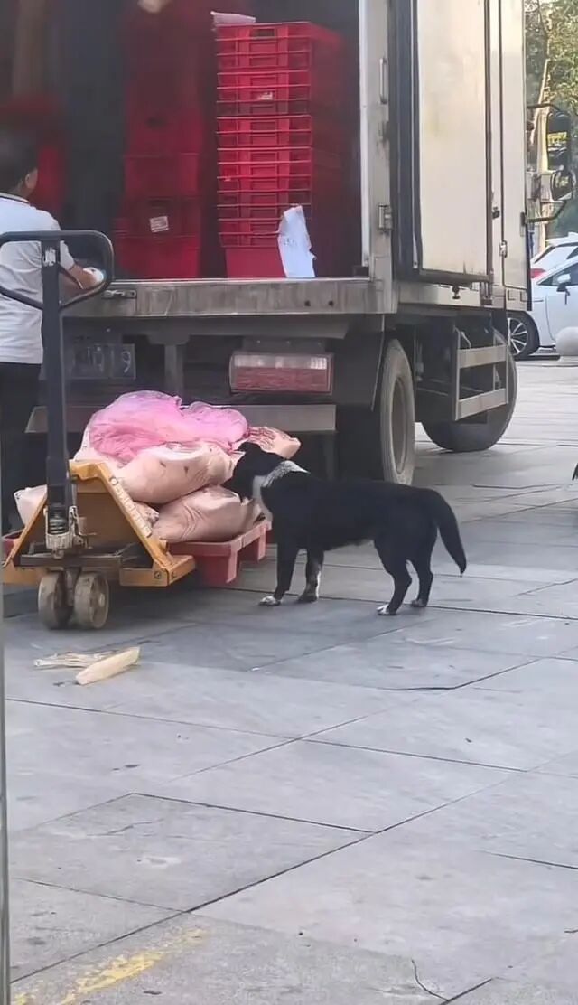 湖北孝昌：涉事食品封存、送检 - 图2