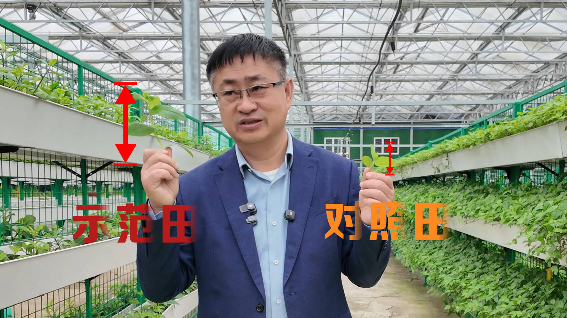 26年老把式，被这款肥料彻底“圈粉”！ - 图8