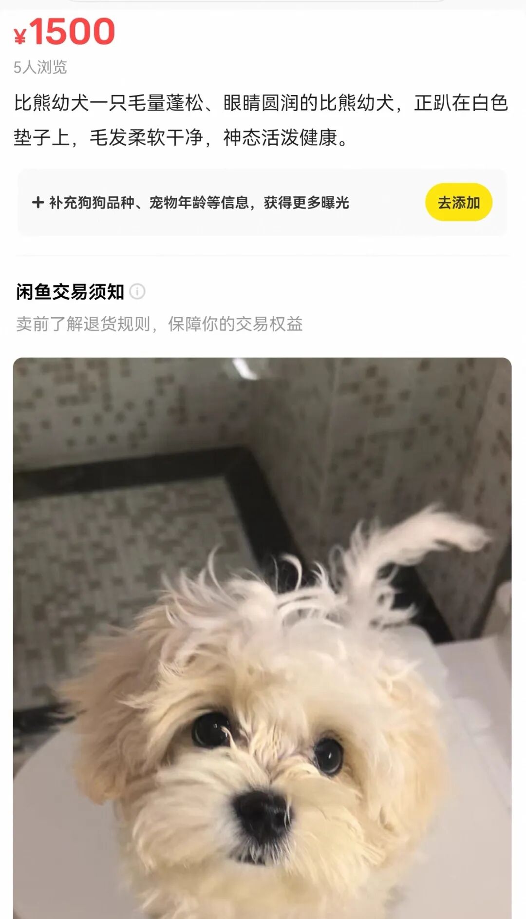 “自动上架”用户手机中照片，闲鱼回应“避重就轻”引质疑 - 图2