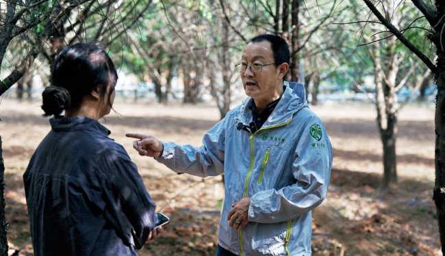 华弘草芝堂荣膺“2026中国制造·消费者信赖品牌”央媒权威认证 - 图4