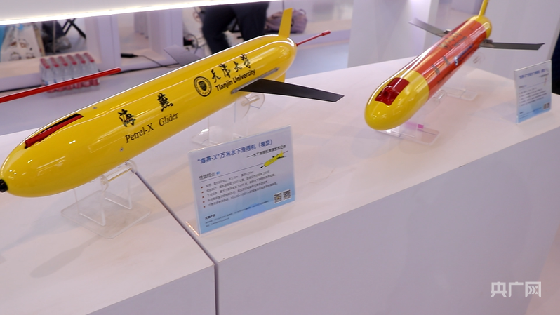 以“新”破题！在智博会高校展台“鉴宝” - 图1