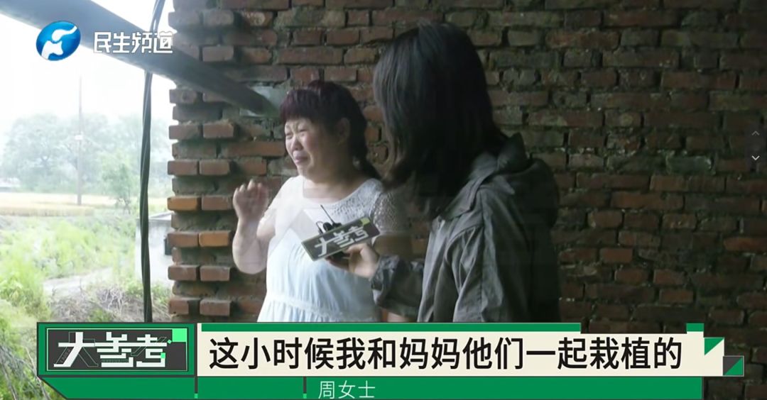 “感觉妈妈彻底走了！”女子20年老宅被亲戚擅装光伏板，母亲种的树全被砍 - 图8