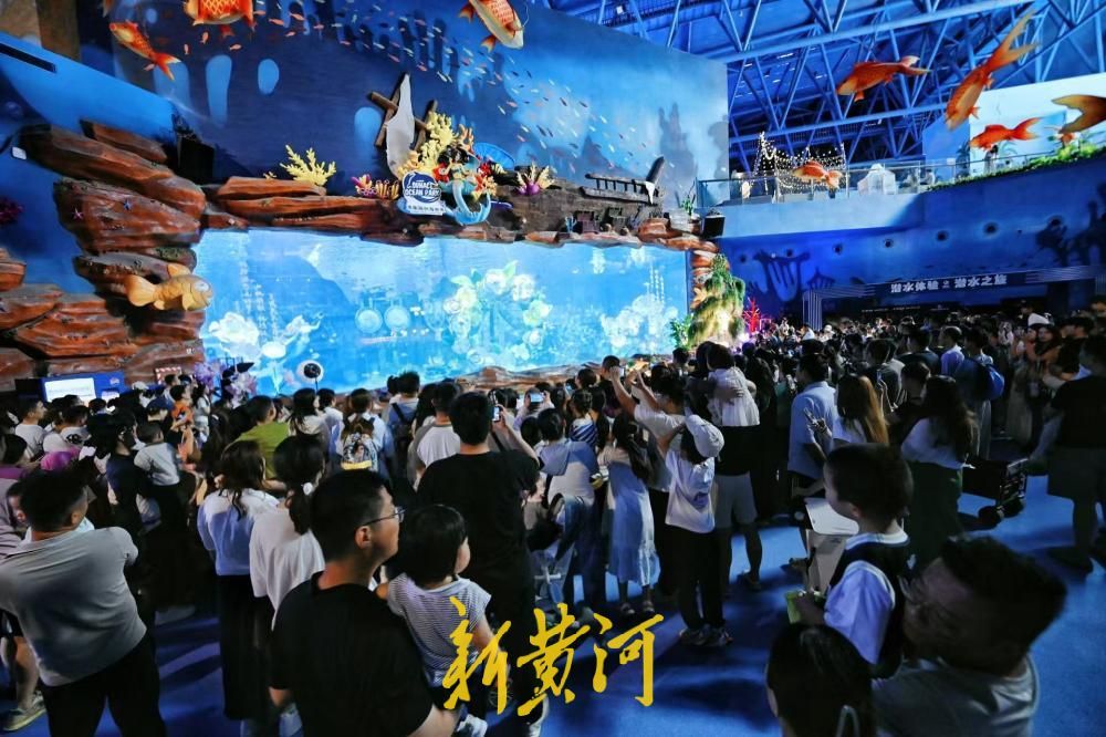 “六一”遇酷暑 济南融创海世界成亲子避暑地 人鱼表演人气爆棚 - 图3