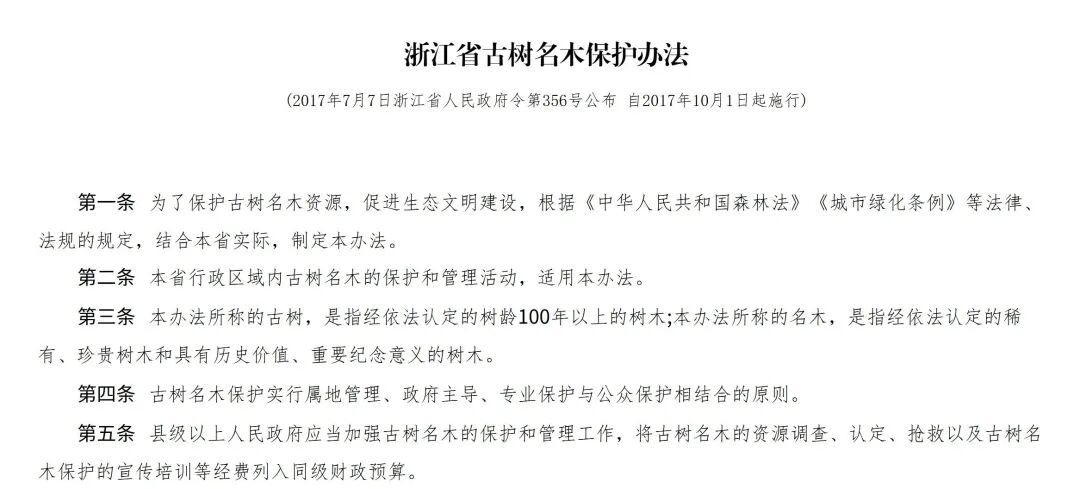 浙江600年古树为省重点工程让路后死亡，镇领导被曝用“60万补偿”诱导村干部签字谎称“冻死”：地方发展的代价，不该让古树用生命来承担 - 图6