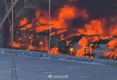 74岁老人点燃杨絮烧毁20辆新能源车！已被采取刑事强制措施 - 图3