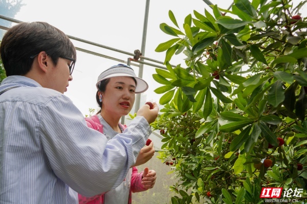 梅好时节遇心动！这群青年在靖州赴一场浪漫之约 - 图6