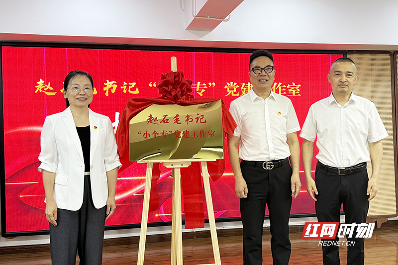 全省首个“小个专”党建工作室在株洲揭牌 - 图1