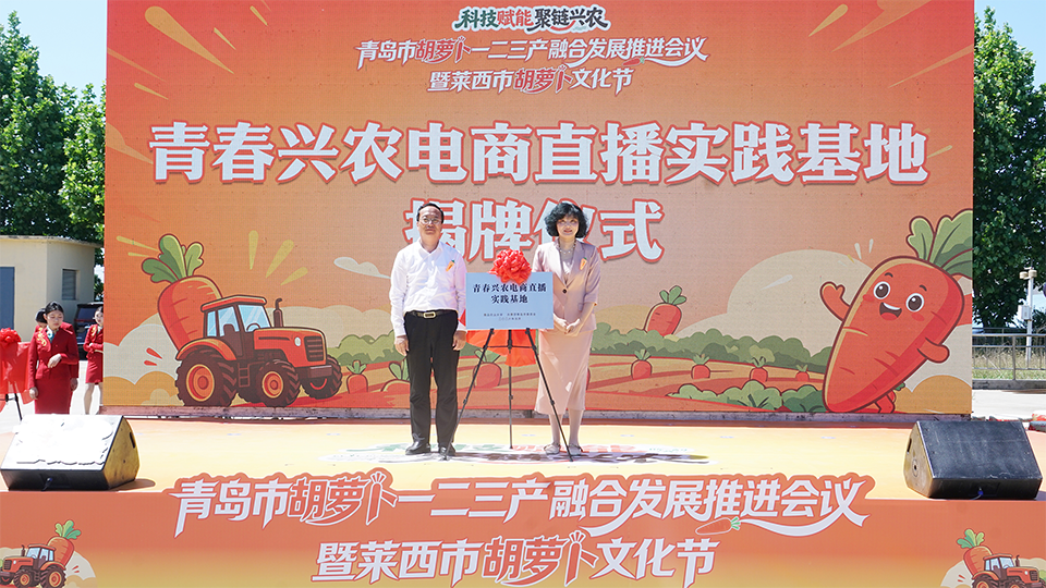 胡萝卜产业科技小院集群揭牌！青岛农业大学以科技小院为支点深度服务青岛乡村振兴 - 图3