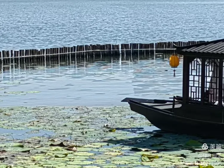 王济生诗歌 济南的六月 - 图21