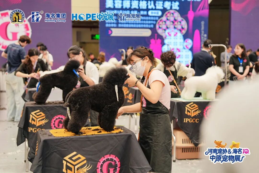 第十届中原宠物展开幕 全产业链盛会燃爆郑州 - 图3