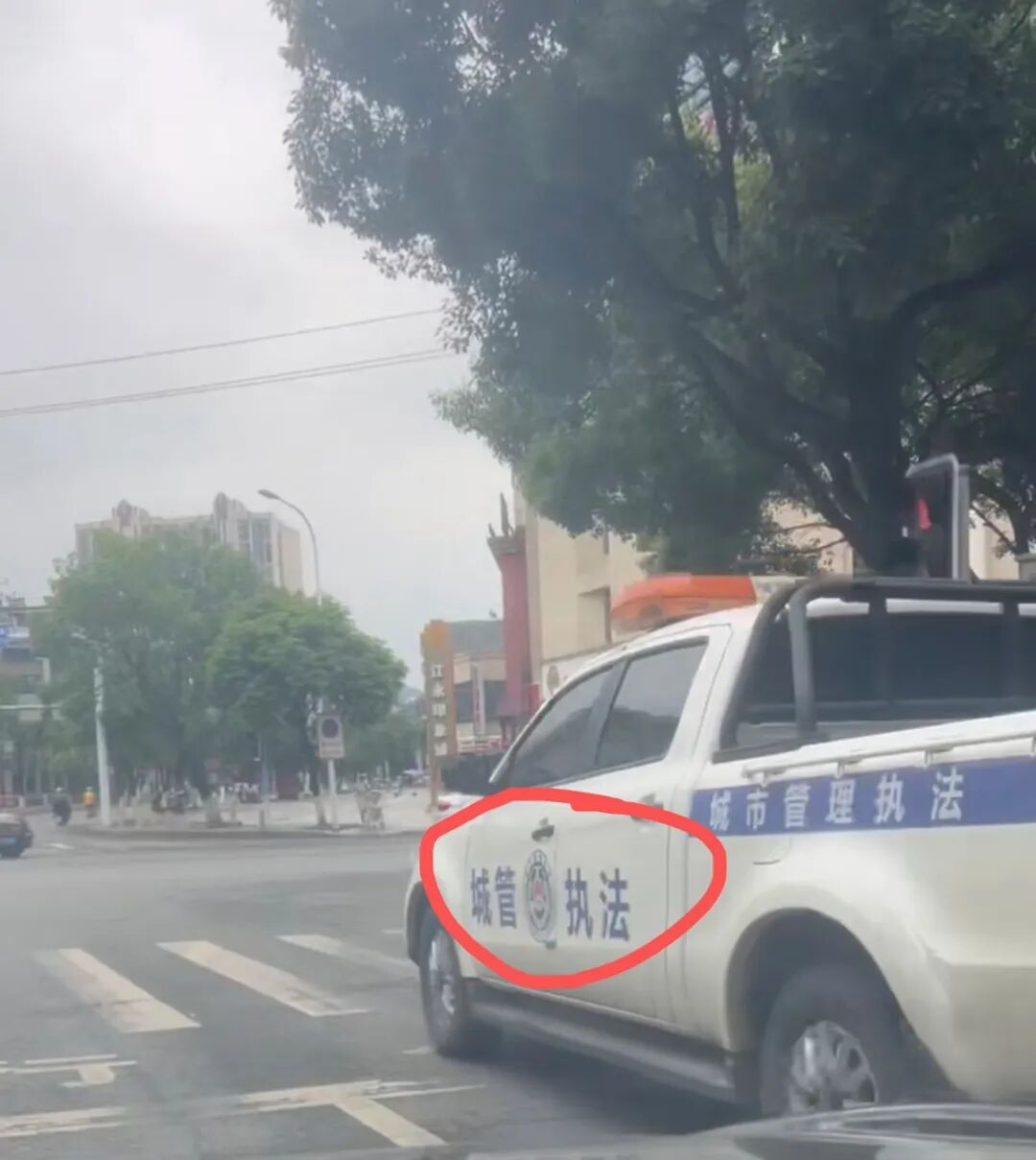 湖南江永通报“城管车拖行犬只致死”：群众举报有无主犬只尾随追人，工作人员缺乏专业带离工具，擅自违规操作，已被停职 - 图4