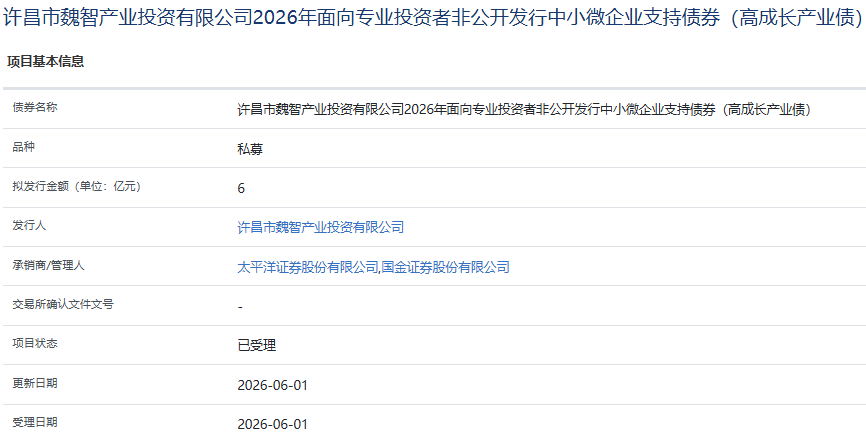 许昌魏智产投拟发行6亿元中小微企业支持债，获上交所受理 - 图1