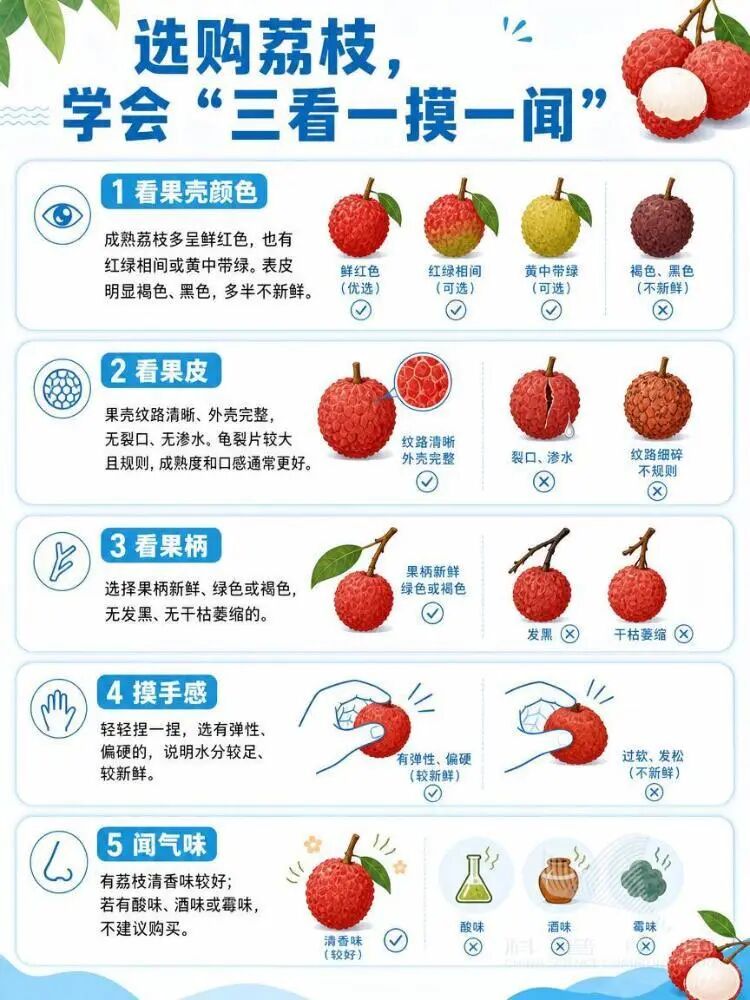 果肉呈乳白色的是“死荔枝”？真相来了，扩散周知 - 图3