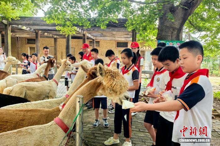 江西南昌持续打造“宝贝出村”公益项目 助力乡村少年成长 - 图1