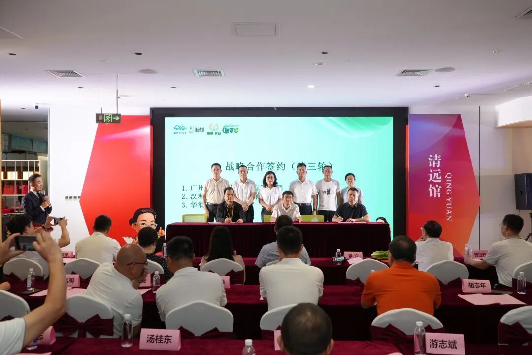 湾区赋能启新篇 清远馆盛大开业｜广东盈辉集团助力广清协作高质量发展 - 图7