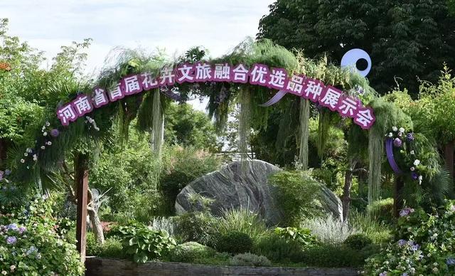 用一场花会送走5月！首届中原花卉文旅融合发展大会在郑开幕 - 图3