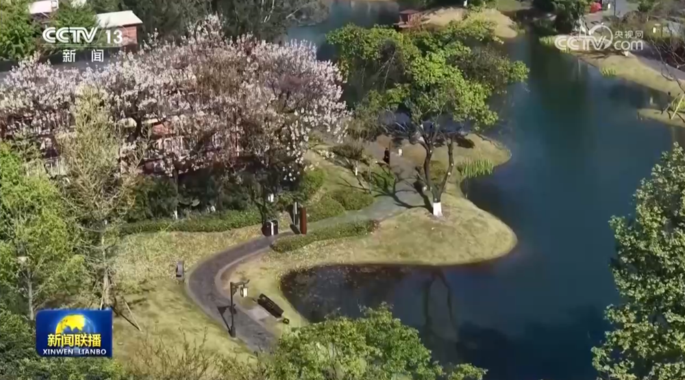 绿化带美出新颜值 公园城市尽显新风貌 - 图3