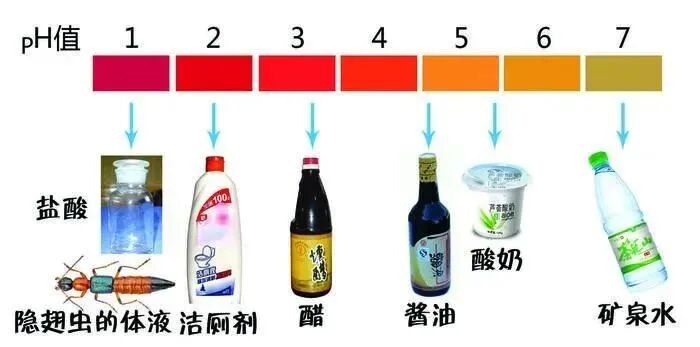 知名男歌手演唱会一个动作引网友担忧：或导致皮肤溃烂！ - 图9