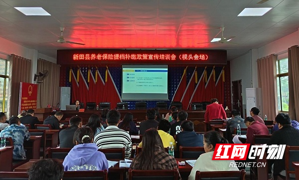 新田：聚焦“三个维度” 强基赋能惠民生 - 图1