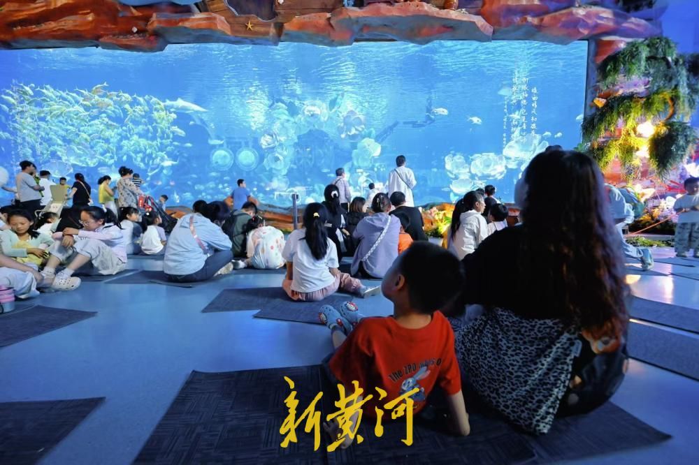 “六一”遇酷暑 济南融创海世界成亲子避暑地 人鱼表演人气爆棚 - 图2
