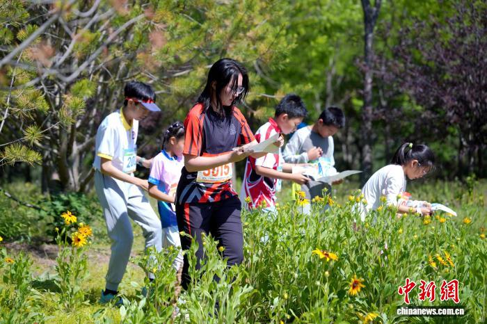 2026年北京市体育传统项目学校定向运动比赛举行 - 图2