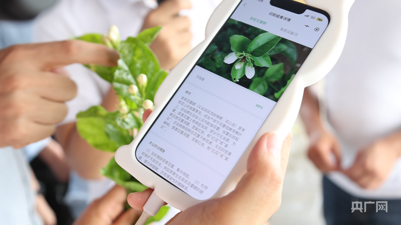 数字技术精准赋能 八桂大地“智”变升级 - 图2