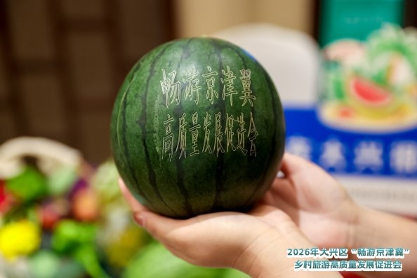 首届大兴区“畅游京津冀”乡村旅游高质量发展促进会成功举办 - 图4
