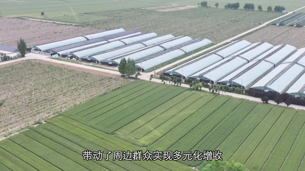 新华视点｜深耕特色富民产业 激活乡村振兴发展新动能 - 图6