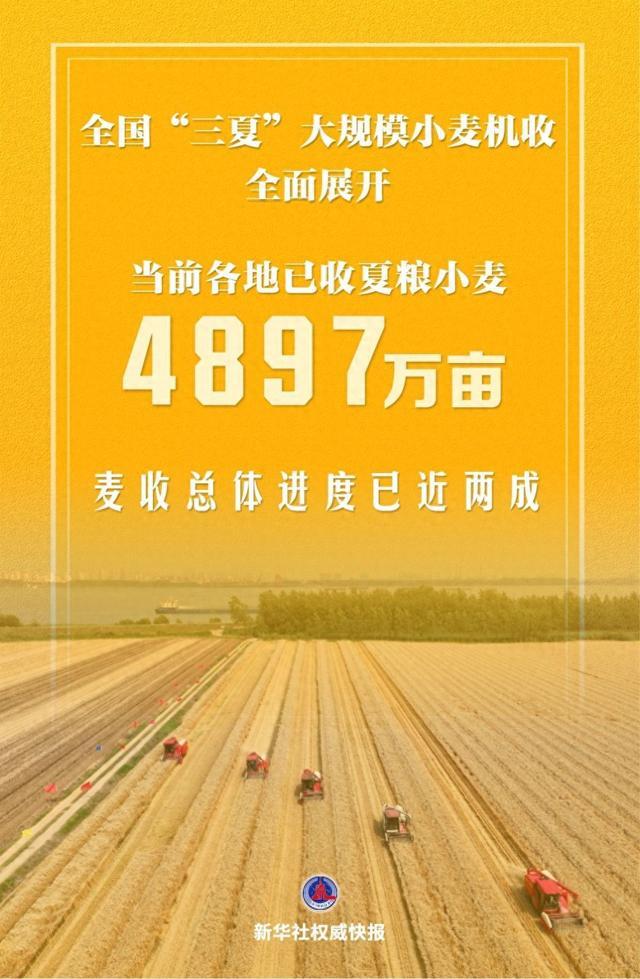 全国“三夏”大规模小麦机收全面展开 - 图1