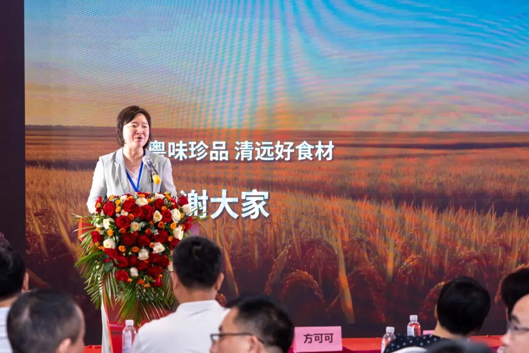 湾区赋能启新篇 清远馆盛大开业｜广东盈辉集团助力广清协作高质量发展 - 图12