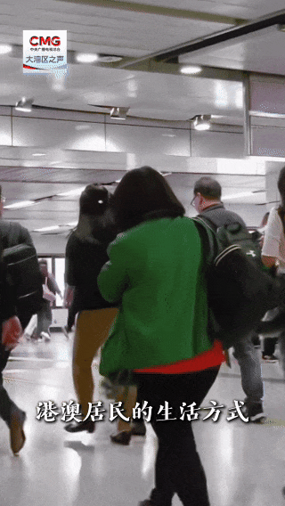 勇立潮头大湾区丨突破1000万辆次！港澳居民“一脚油门”畅行湾区 - 图3