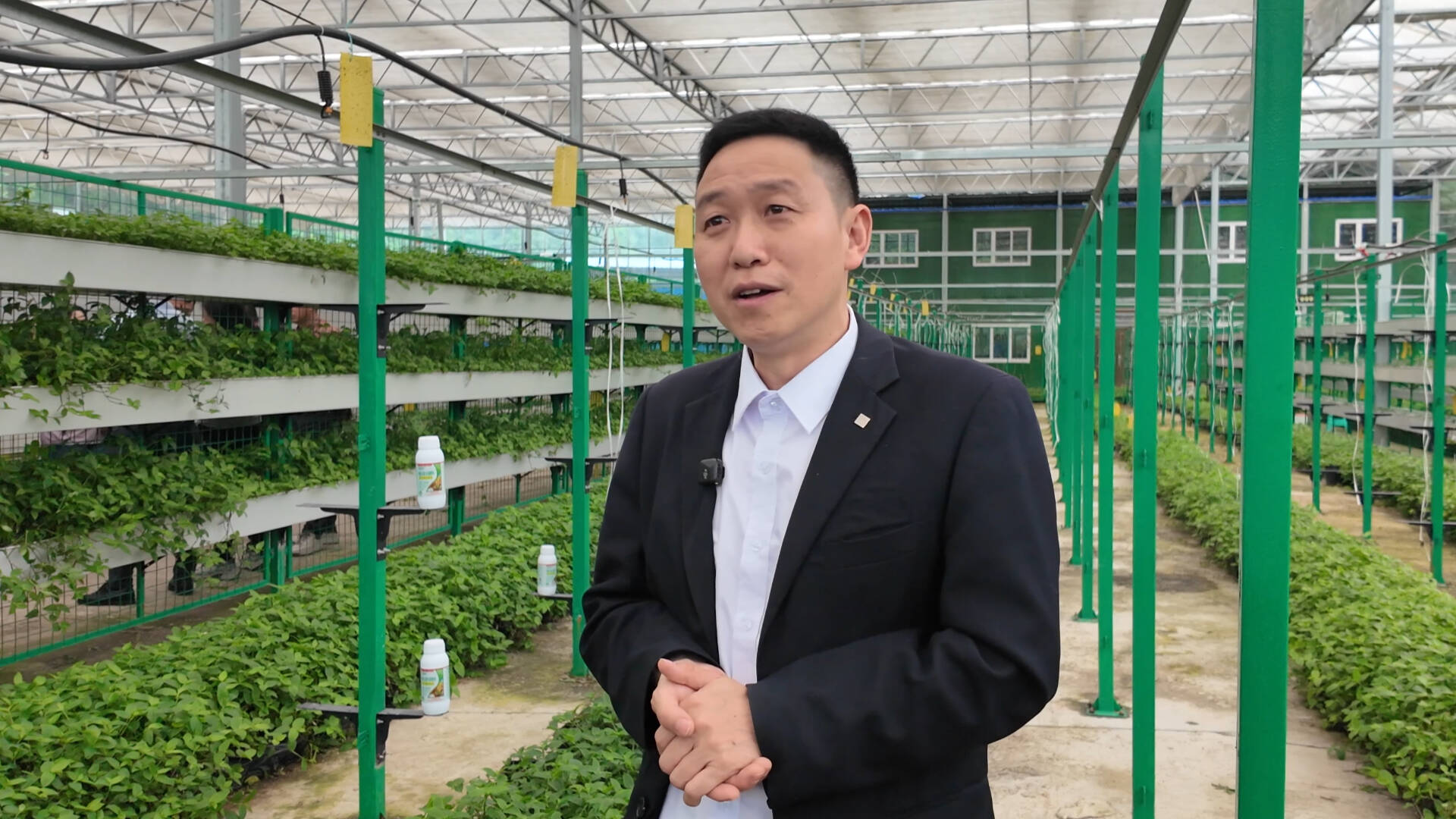 26年老把式，被这款肥料彻底“圈粉”！ - 图10