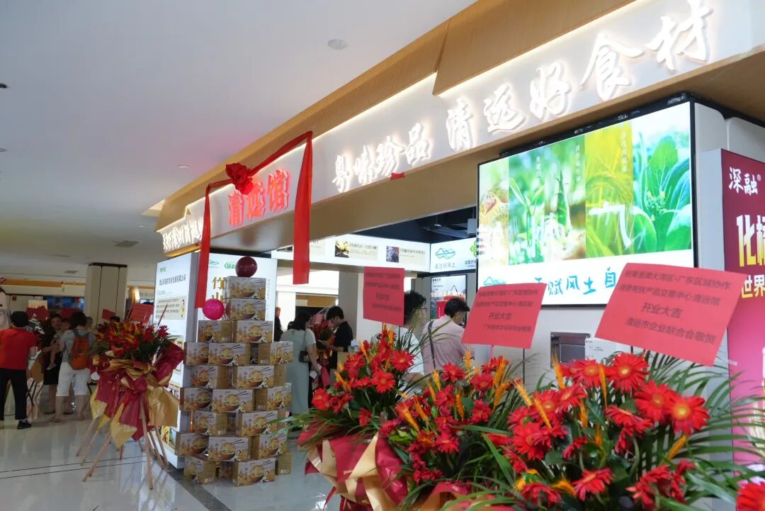 湾区赋能启新篇 清远馆盛大开业｜广东盈辉集团助力广清协作高质量发展 - 图14