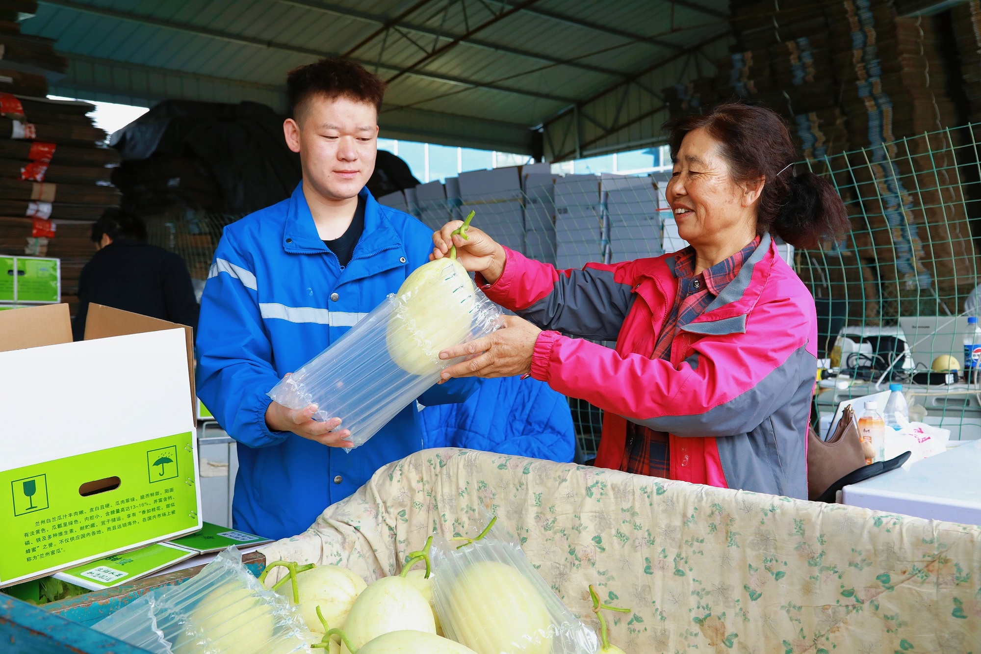 甘肃皋兰白兰瓜甜蜜上市：一口“记忆中的味道”回来了 - 图3