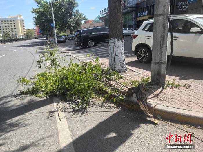 专家解析强对流天气成因 今明两天黑龙江大部还有八级阵风 - 图1