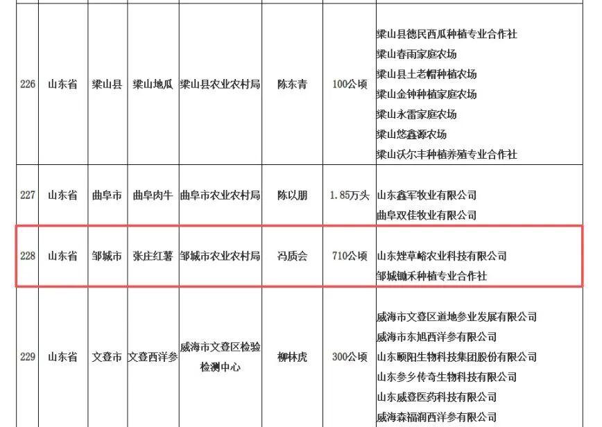 全国名特优新农产品，张庄红薯上榜 - 图2