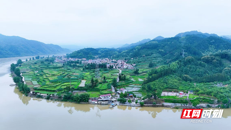 视频丨湖南省举办和美乡村建设培训班 240名村支书在怀化“取经” - 图1