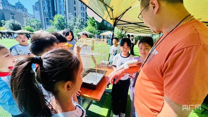 让萌宠遇见童心 北京市丰台区丽泽小学举办第二届宠物节 - 图5