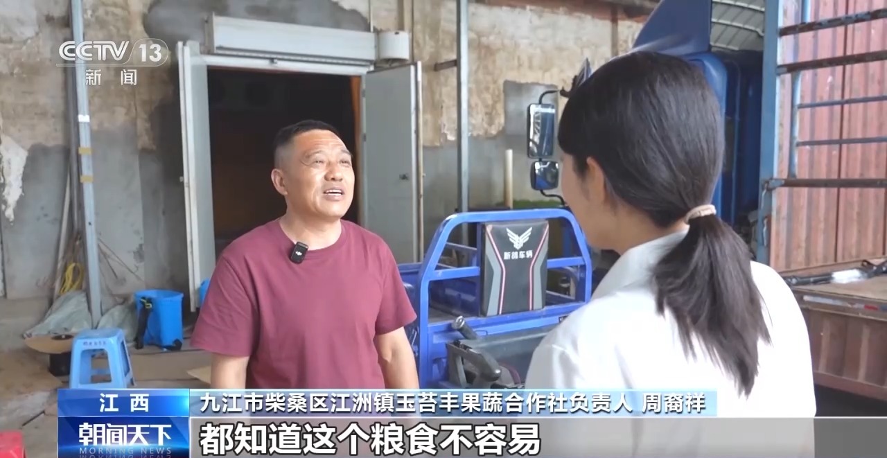 一线调研丨二次烘干+全天候保电 九江江洲镇全力抢收抢烘保麦收 - 图7