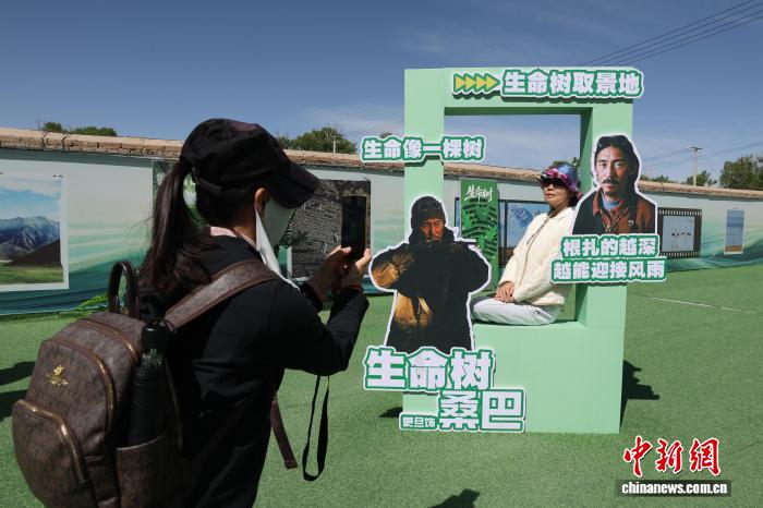 青海德令哈：游客在《生命树》取景地沉浸打卡 - 图1