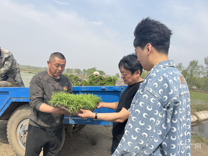 内蒙古莫旗：科技赋能7万亩稻田跑出播种“加速度” - 图2