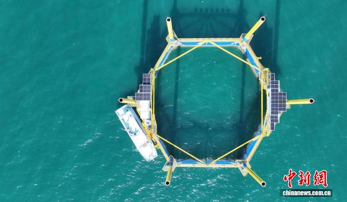 扎根海底抗狂风巨浪 广东造出新型海洋牧场重器 - 图3
