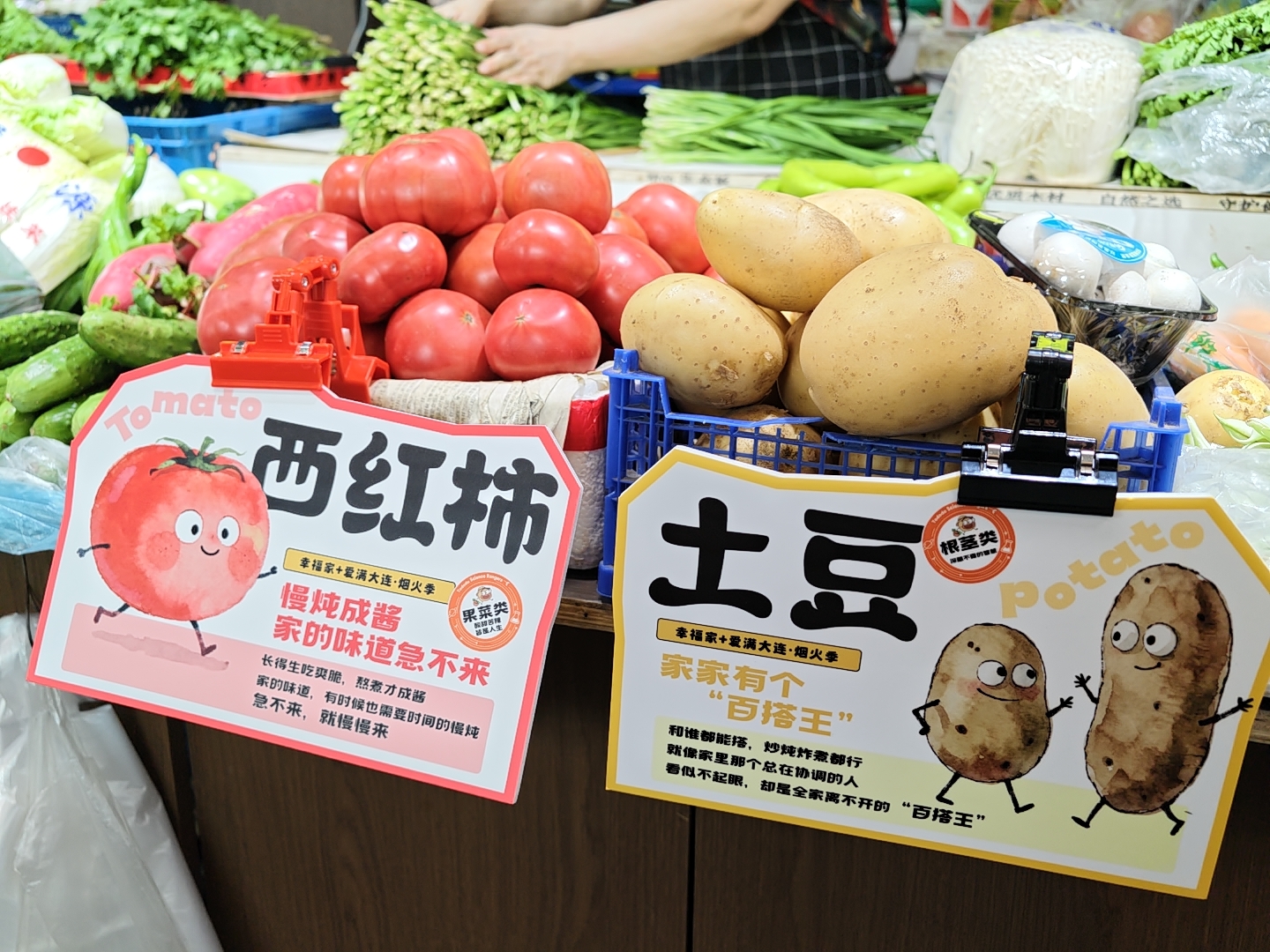 一颗土豆的“科学魔法”：“土豆逗科普少年团”在国际马铃薯日成立 - 图4
