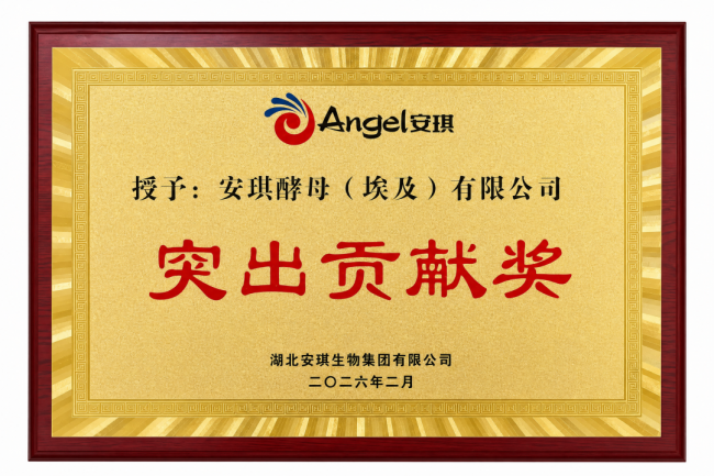 从宜昌到尼罗河：世界级酵母企业的埃及样本 - 图13