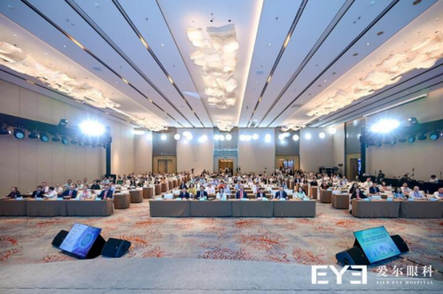 吉尼斯“百万宣言”挑战全球发布，泰州爱尔伊军记主任邀市民携手共创世界纪录 - 图2