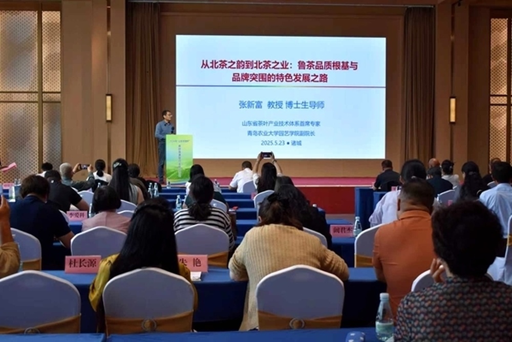 山东：打造现代化茶园样板，推动鲁茶从地方特产迈向国潮精品 - 图2