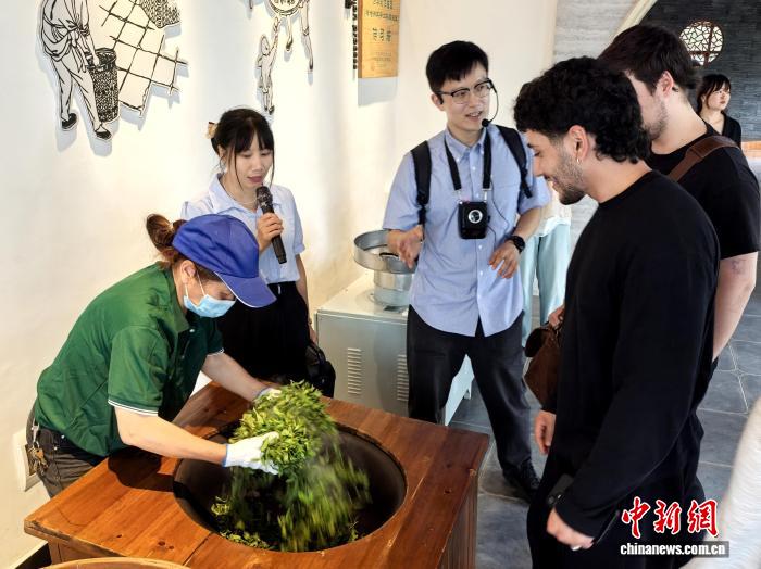 聚焦基层治理产业升级 德国青年长沙探寻乡村发展路径 - 图2